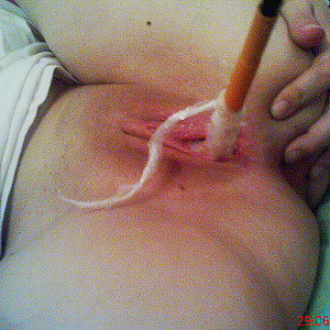 screwdriver in the pussy gallery image