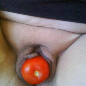 Tomato Galeriebild