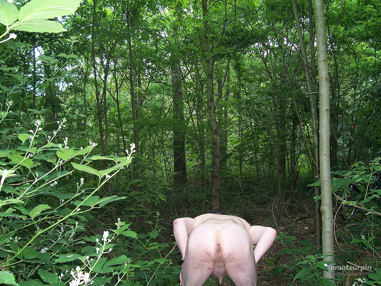 nackt im wald Galeriebild