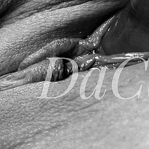 DaCa querbeet Closeup Galerie