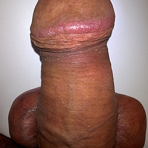 My cock for you Galerie