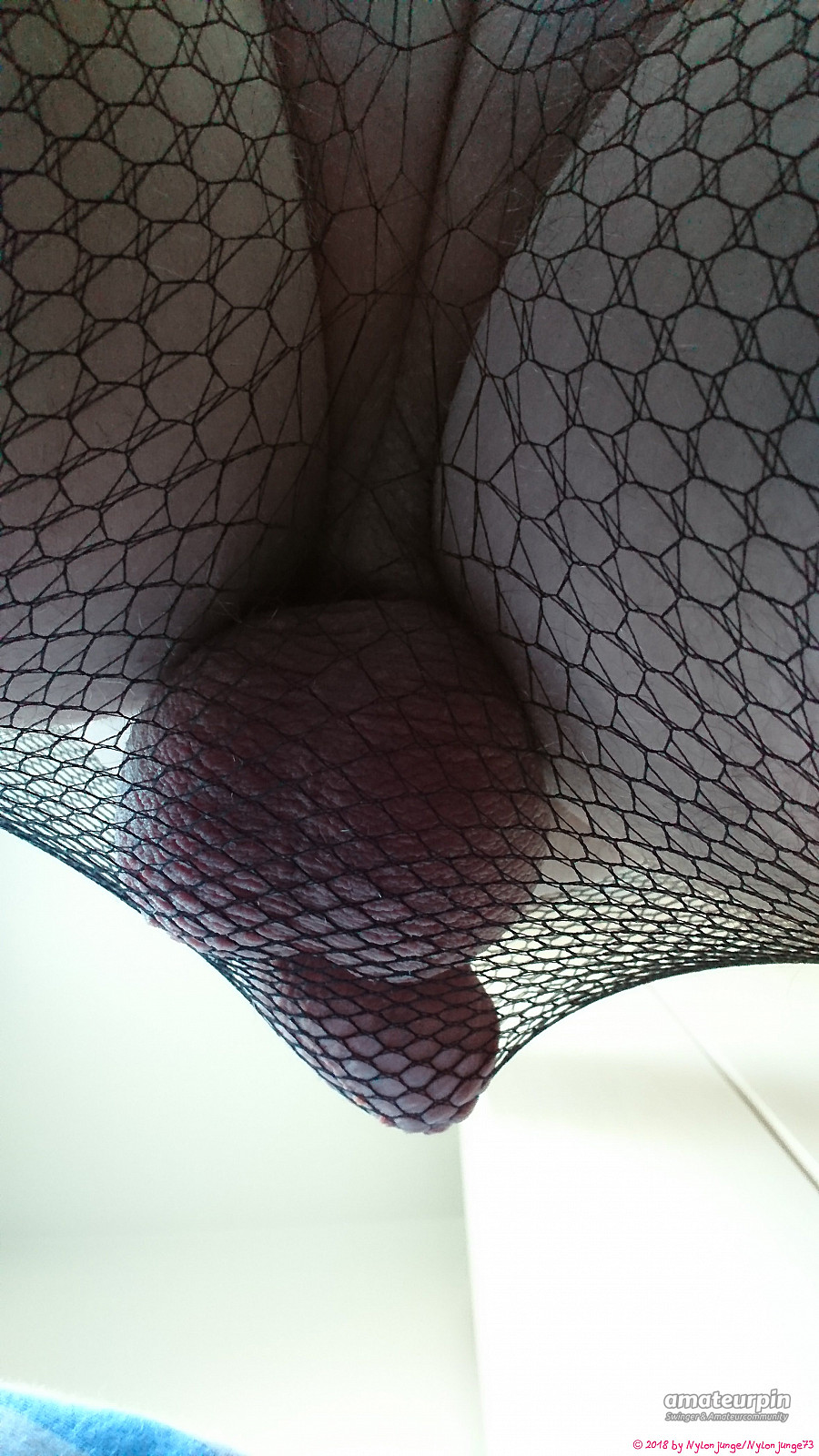 fishnet gallery image