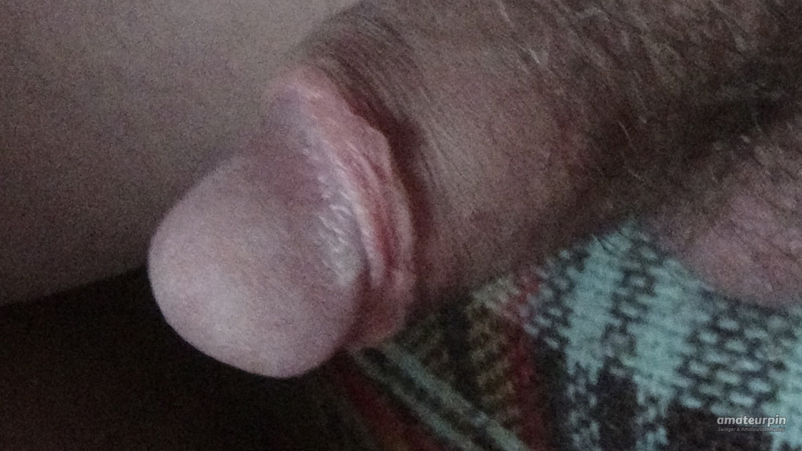 my cock gallery image