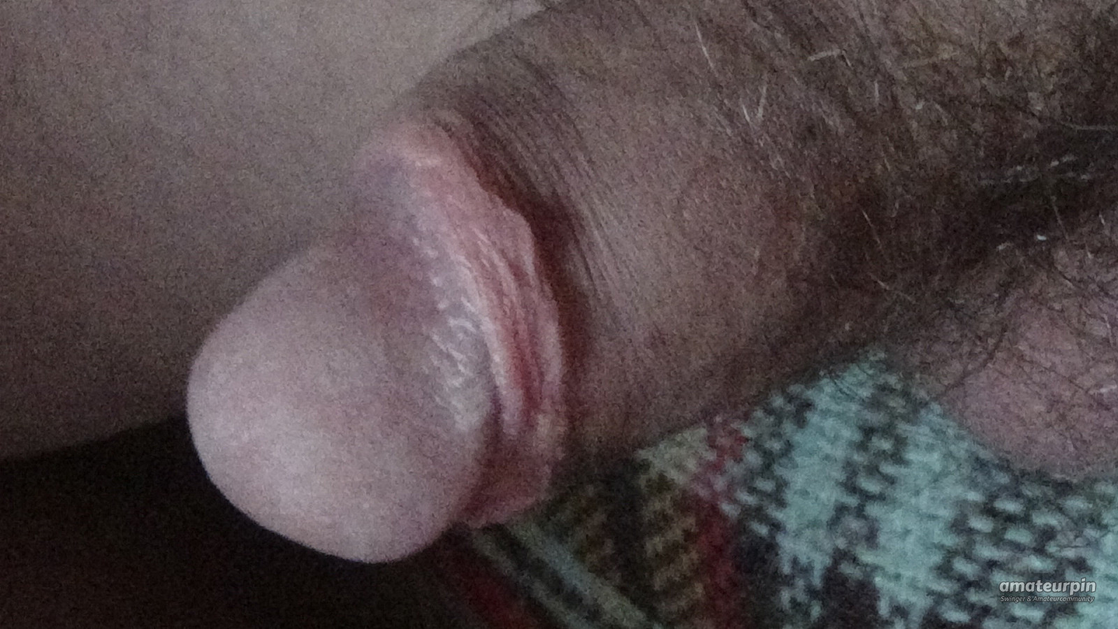 my cock gallery image