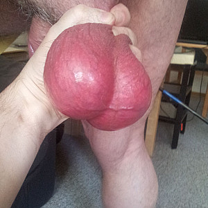 my cock gallery image