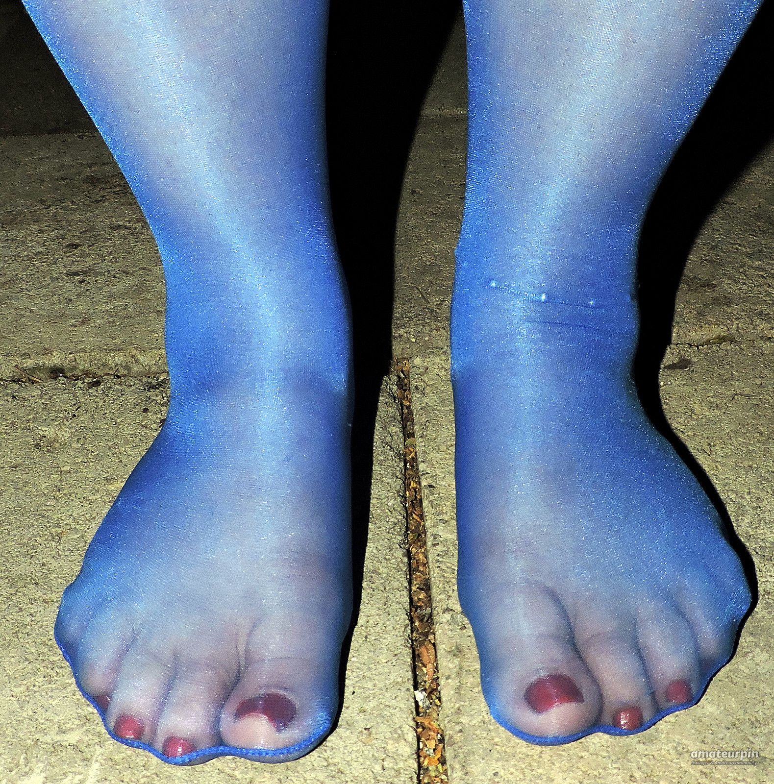 Cunt, Feets and Tits in blue gallery image