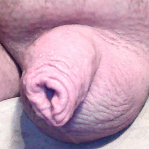 my cock gallery image