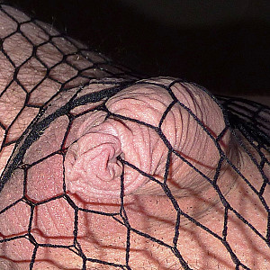 fishnet 2 gallery image