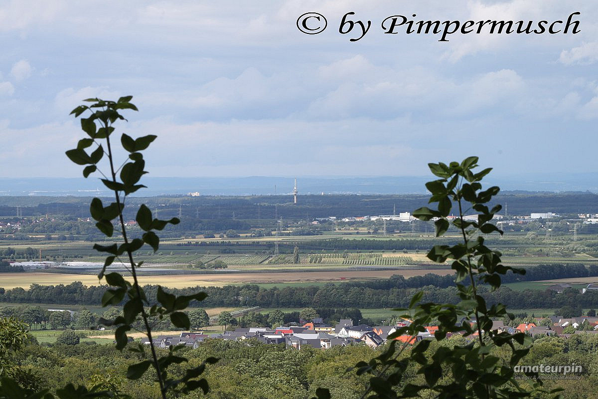 Tomburg 1 Galeriebild