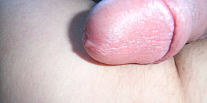 Schwanz und Nippel abgebunden First Thumb Image