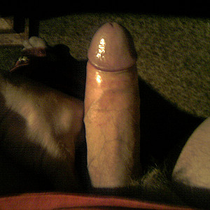 First image of Jungstar21's Gallery - my fat hard cock