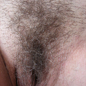 my hairy wife gallery image