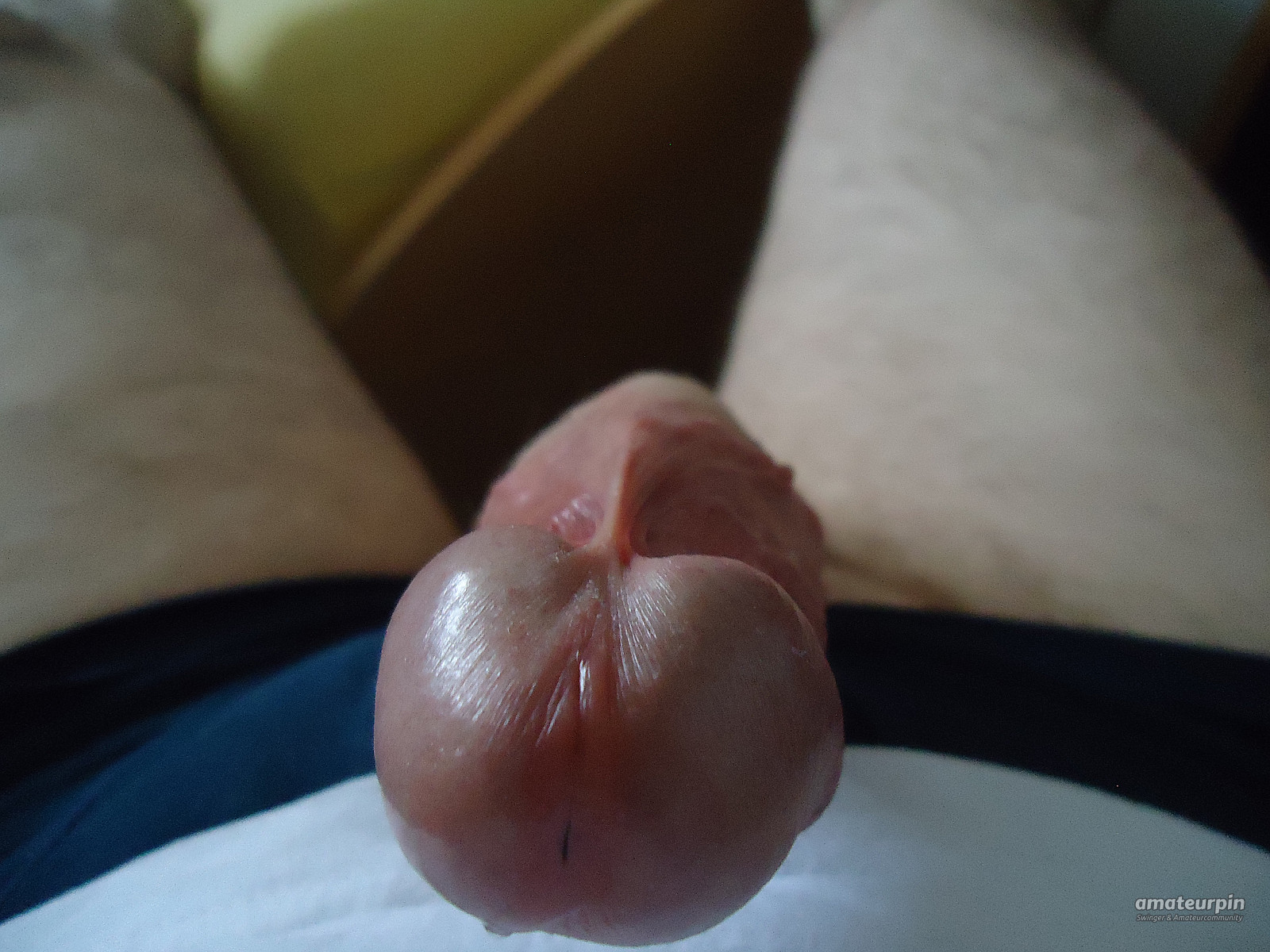 Horny cock gallery image