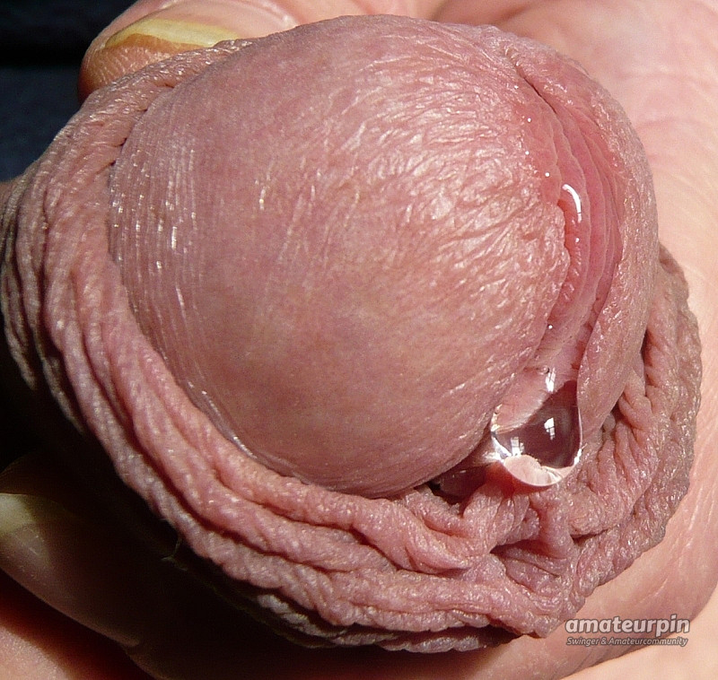 precum gallery image