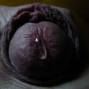 PRECUM Galeriebild