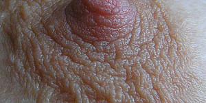 Nipples next time First Thumb Image