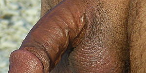 dick First Thumb Image