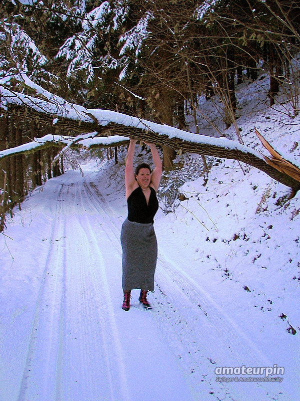 Baum im Weg Galeriebild