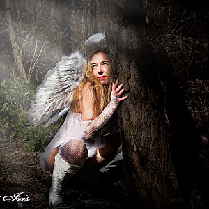 Angel in the Dark Galeriebild