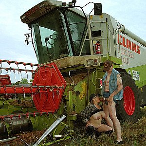 Bei der Ernte war es ganz schön warm. Galeriebild