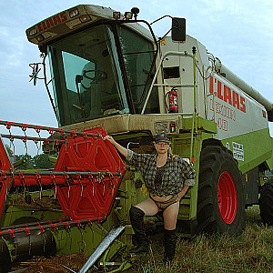 Bei der Ernte war es ganz schön warm. Galeriebild