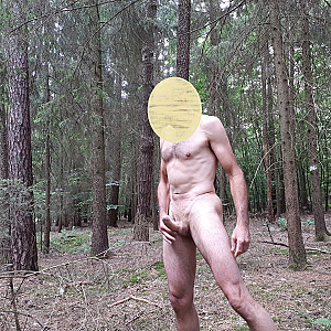 Das erste Bild von dieter38nbg's Galerie - Mitten im Wald