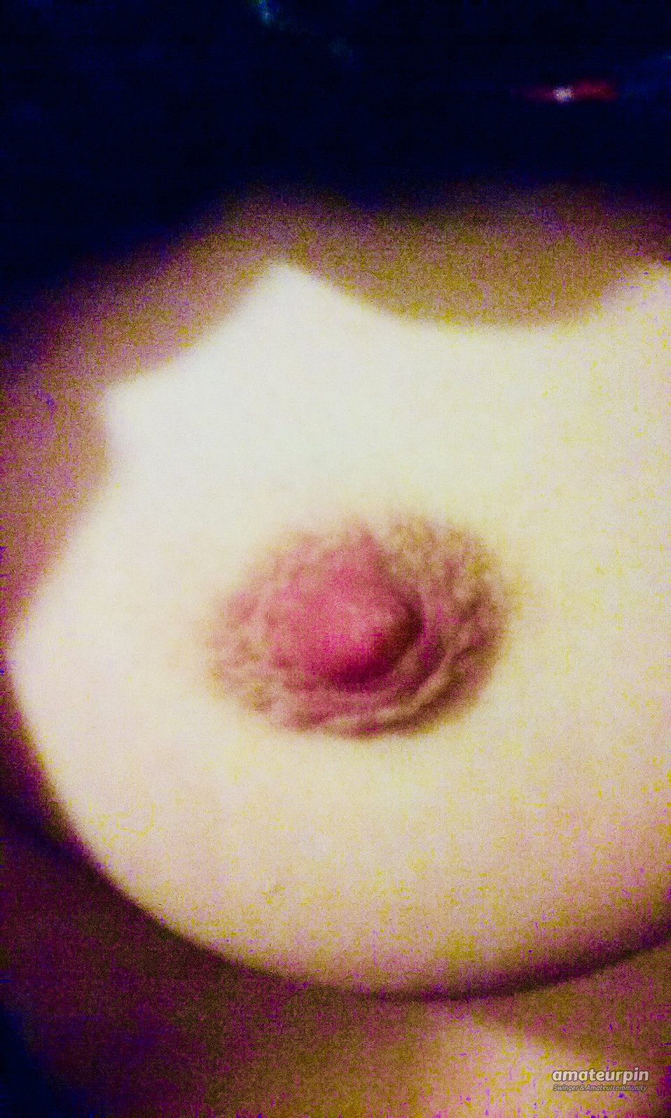 Wife's nipples gallery image