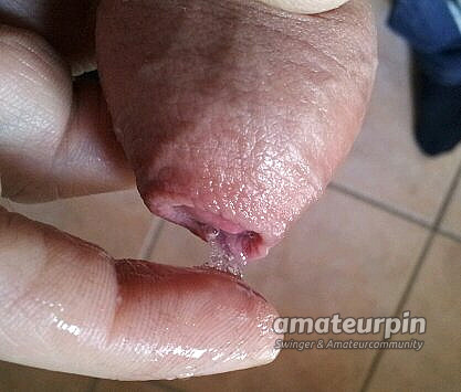 Precum gallery image