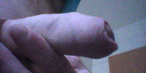 ein blas instrument First Thumb Image