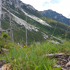 schöne Aussicht 4 Galeriebild