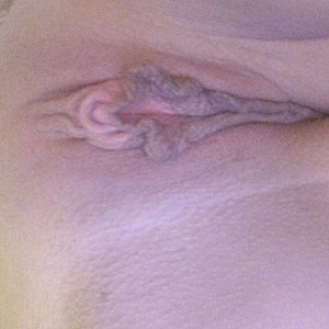 Meine geile Pussy 2.0 Galerie