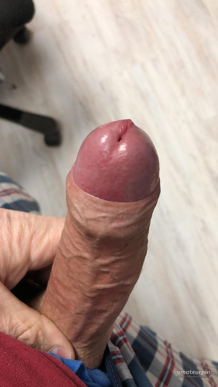 my dick gallery image