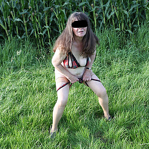 in the cornfield 2 gallery image