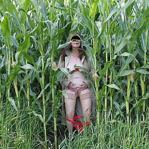 in the cornfield 2 gallery image