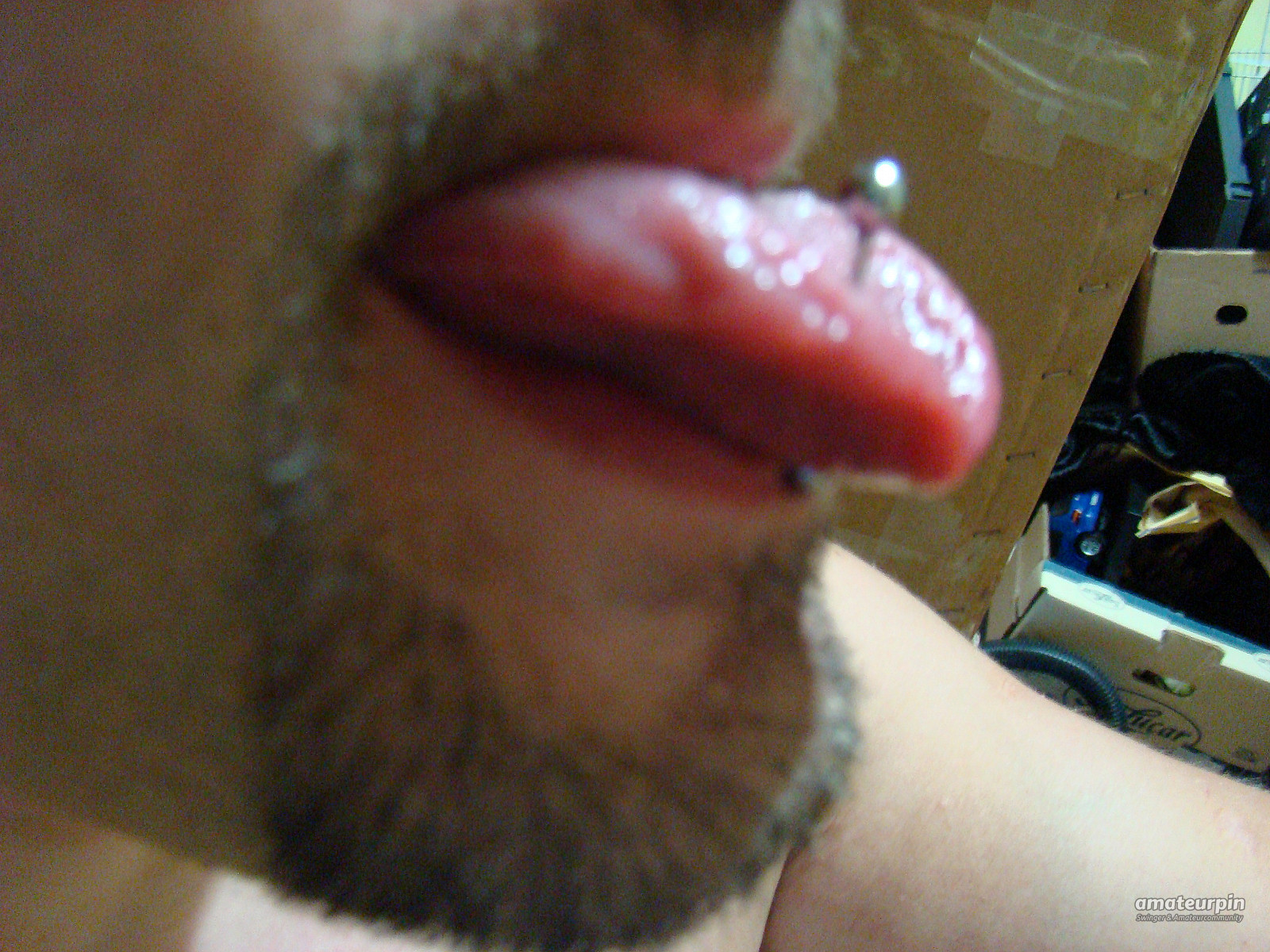 My piercings gallery image