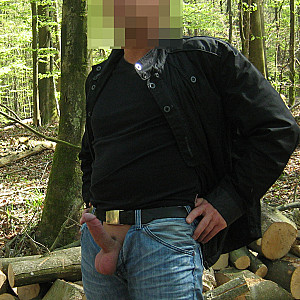 Im Wald Galeriebild