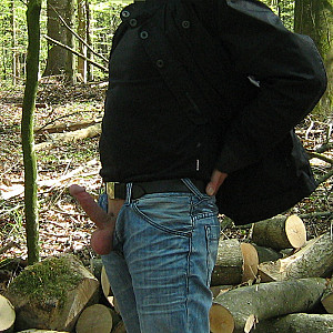 Im Wald Galeriebild