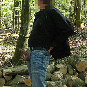 Im Wald Galeriebild