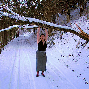 Baum im Weg Galeriebild