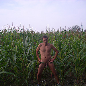 Cornfield gallery image