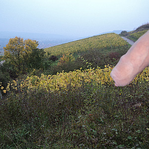 Wanking in the hills gallery image