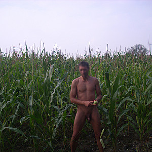 First image of einfach_iche's Gallery - Corn field