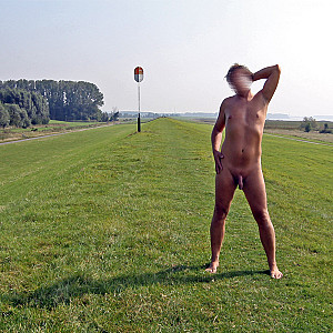 Spätsommer an der Elbe Galerie