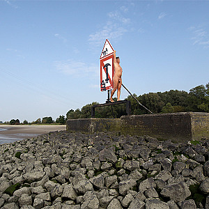 Spätsommer an der Elbe Galerie