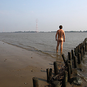 Spätsommer an der Elbe Galerie