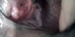 my pussy close-up First Thumb Image