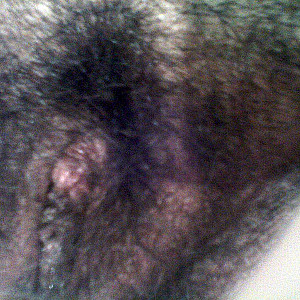 my pussy close-up Galerie