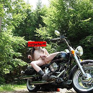 Harley-Fieber Galeriebild