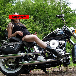 Harley-Fieber Galeriebild