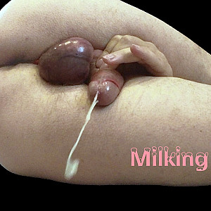 Milking Time Galerie